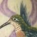 Tattoos - color realistic hummingbird coverup tattoo - 57982